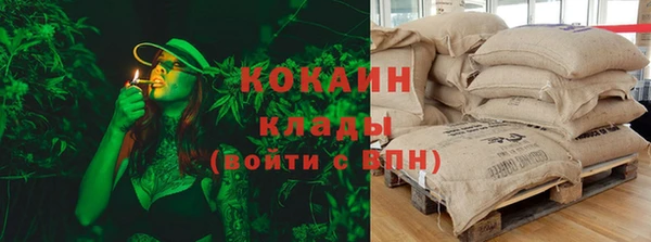 дмт Белокуриха