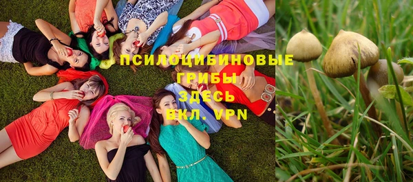 гашик Белоозёрский
