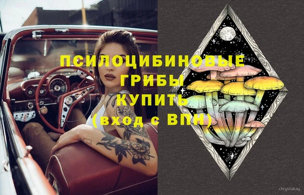 дмт Белокуриха