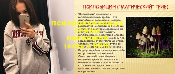 дмт Белокуриха