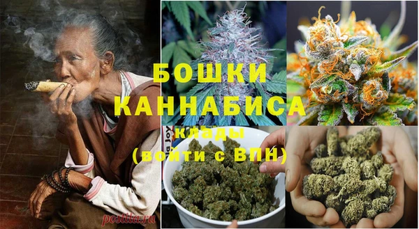 дмт Белокуриха