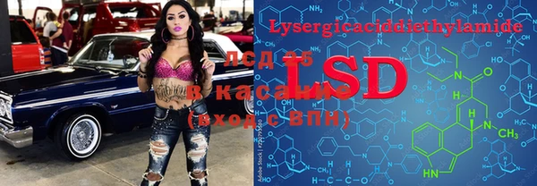 дмт Белокуриха