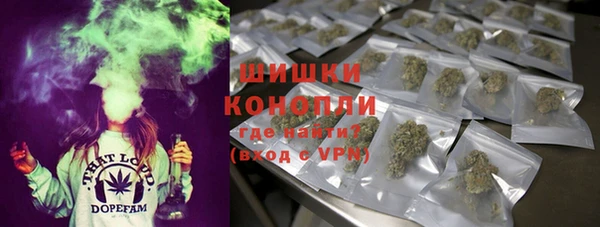 гашик Белоозёрский
