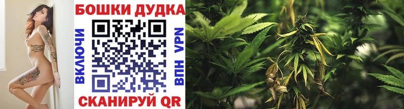 как найти наркотики  Хотьково  Канабис тримм 